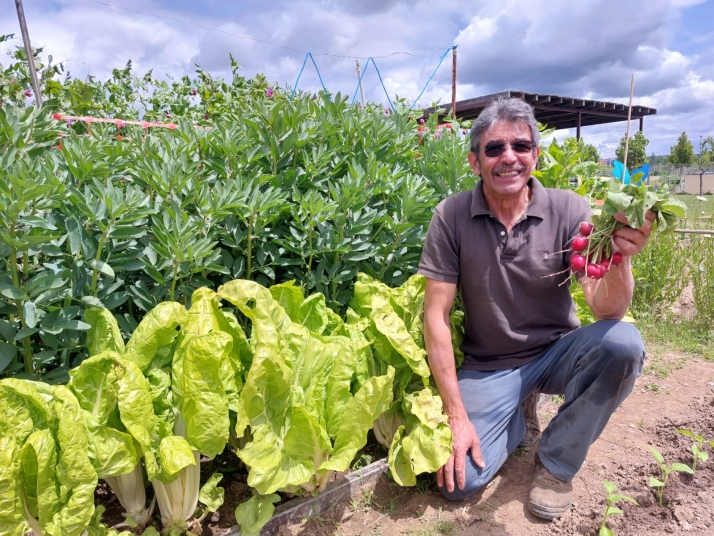 Antonio Ovejero, cuatro a&ntilde;os de experiencia en los huertos urbanos de Salamanca: "Haces amigos. Somos muy generosos unos con otros"  | Imagen 1