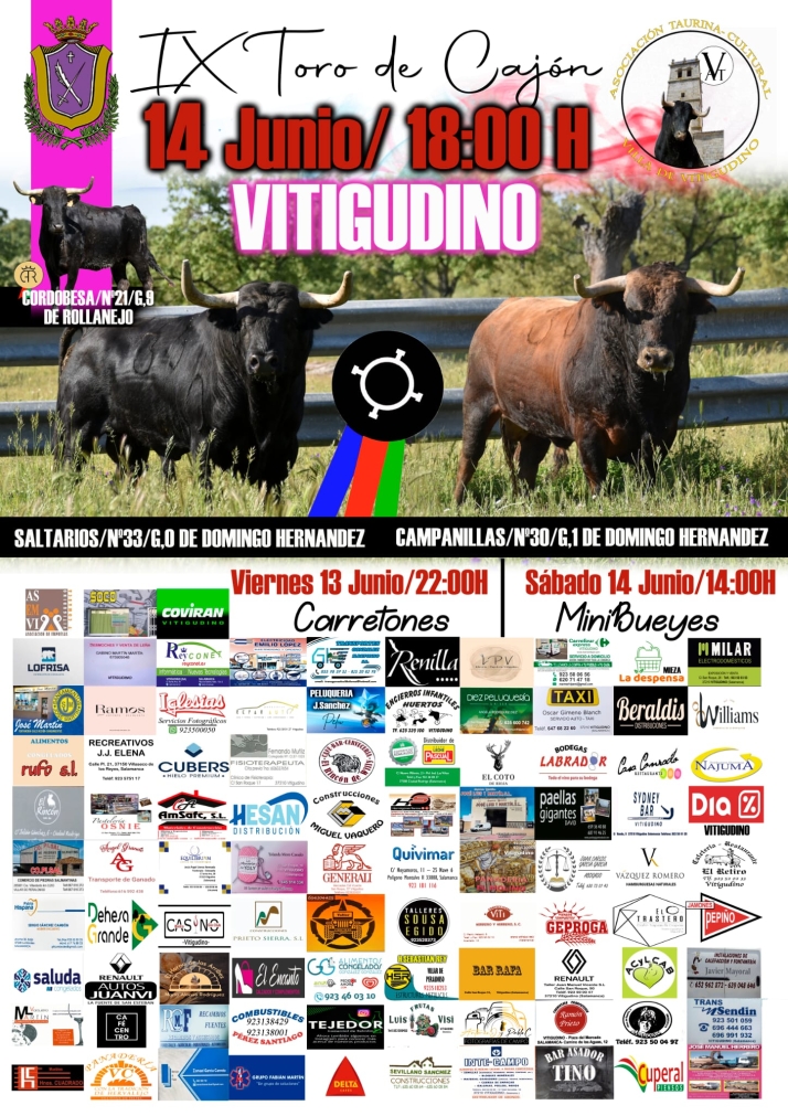 La Asociaci&oacute;n Taurina Cultural 'Villa de Vitigudino' apuesta por la cantera: minibueyes y carretones con 'Campanillas' como IX Toro de Caj&oacute;n | Imagen 1