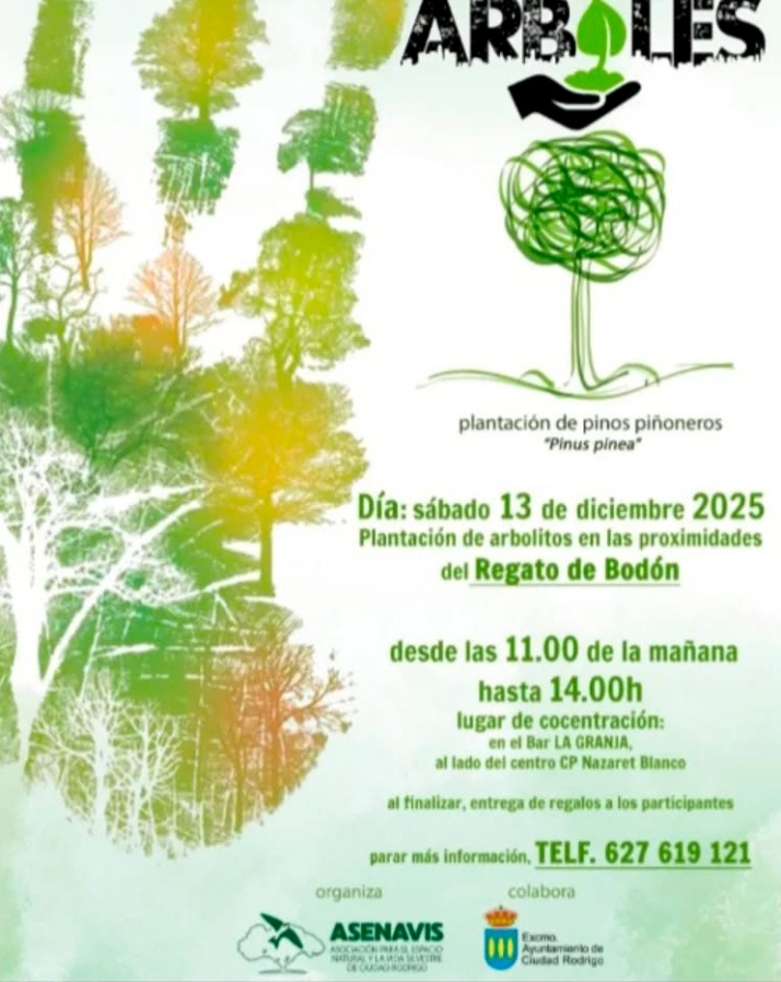 ASENAVIS impulsa una plantaci&oacute;n comunitaria de pinos pi&ntilde;oneros para reforzar la reforestaci&oacute;n de Ciudad Rodrigo  | Imagen 1