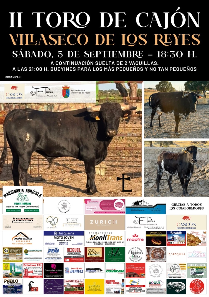 Villaseco de los Reyes celebrará su II Toro de Cajón con un astado de Espioja | Imagen 1