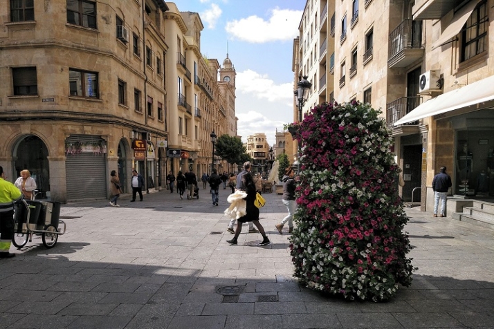 Macetas, la clave para combatir el calentamiento global del planeta | Imagen 1