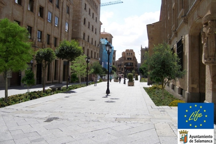 La ilusi&oacute;n de lo que puede llegar a ser. | Imagen 6