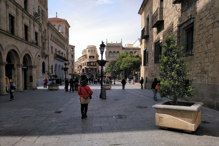 Macetas, la clave para combatir el calentamiento global del planeta | Imagen 6