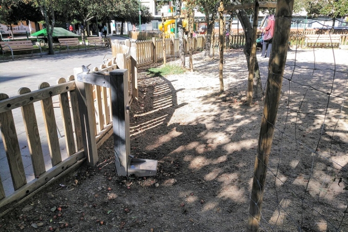 Recordatorios caninos | Imagen 2