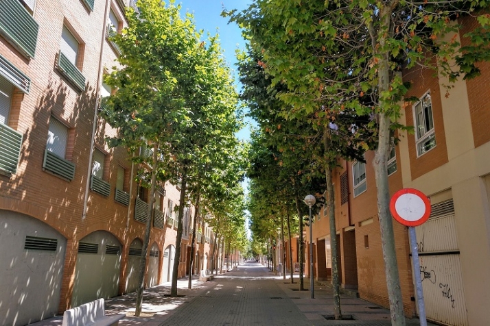 Criterios verdes | Imagen 5