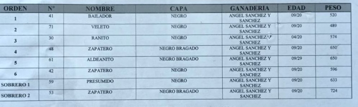 Sorteados los toros de &Aacute;ngel S&aacute;nchez y S&aacute;nchez para el regreso de Ventura | Imagen 1