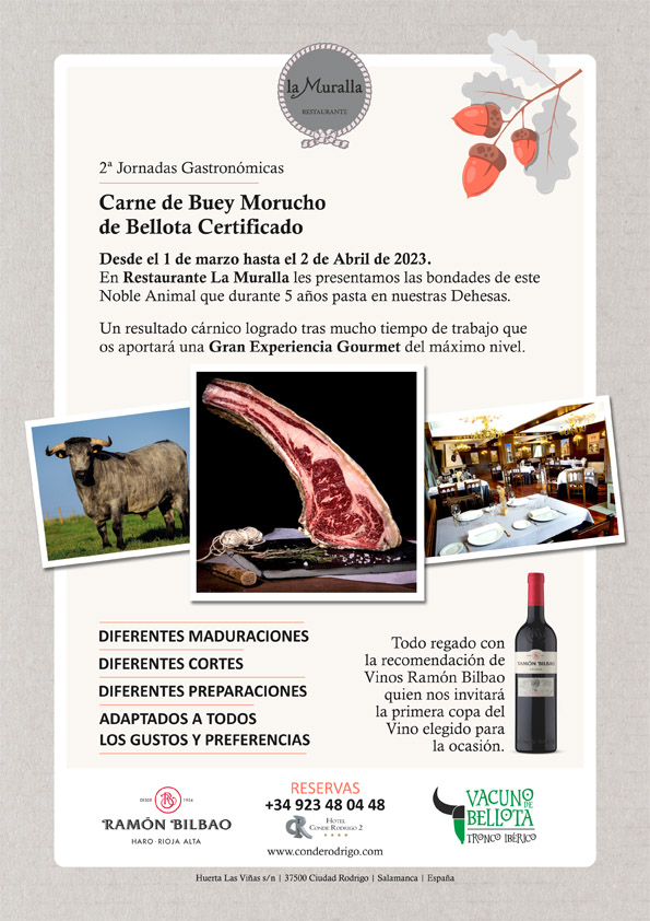2&ordf; Jornadas gastron&oacute;micas de Buey Morucho de bellota | Imagen 1