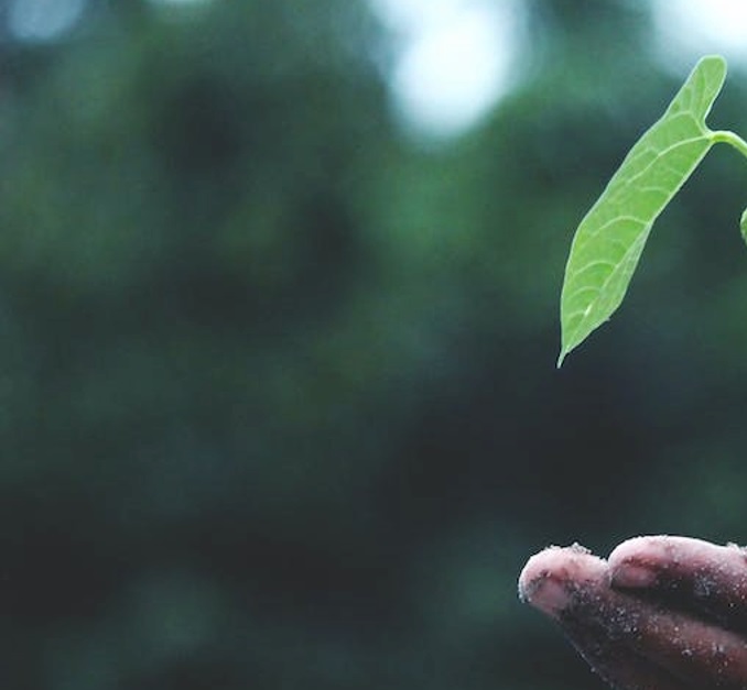 Cuidado del medio ambiente: Cambia tus h&aacute;bitos para un futuro m&aacute;s verde | Imagen 2