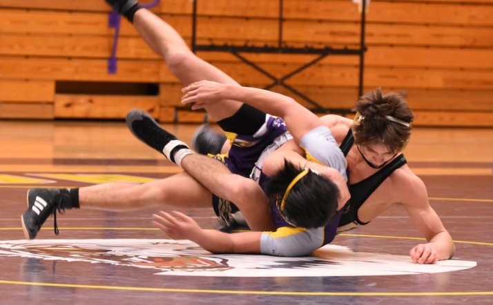 Las particularidades de la lucha leonesa | Imagen 1