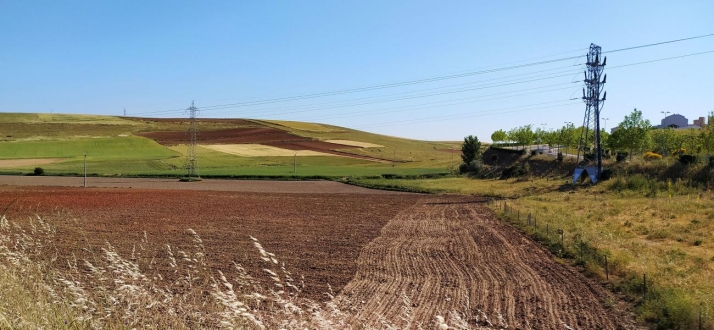 As&iacute; son los pulmones verdes de Salamanca: ubicaci&oacute;n y lugares de los que disfrutar en la ciudad   | Imagen 1