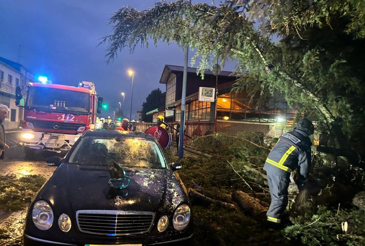 FOTOS | Cae un &aacute;rbol de grandes dimensiones encima de un coche en Alba de Tormes | Imagen 2