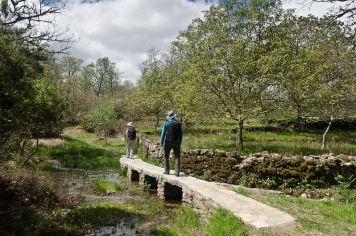 Rutas para descubrir la provincia de Salamanca este oto&ntilde;o | Imagen 1