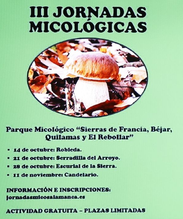 Seis excursiones micol&oacute;gicas con gu&iacute;a y gratuitas en la provincia de Salamanca | Imagen 1