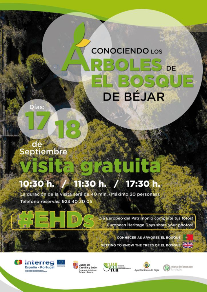 Los &aacute;rboles de El Bosque, al descubierto | Imagen 1