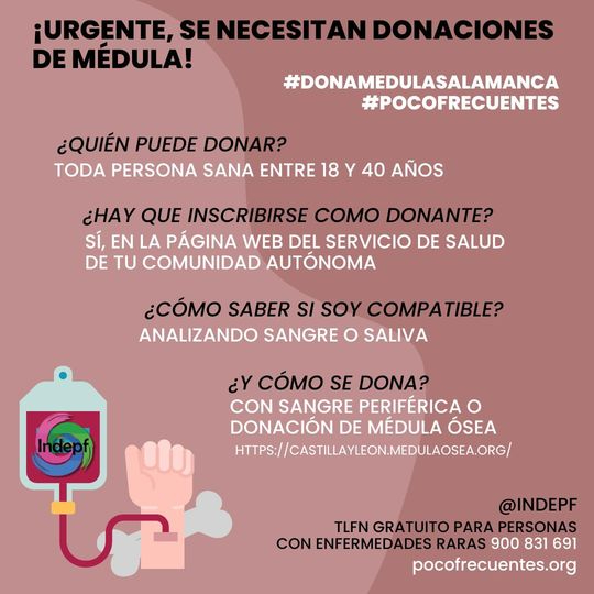 As&iacute; puedes hacerte donante de m&eacute;dula y salvar vidas | Imagen 1