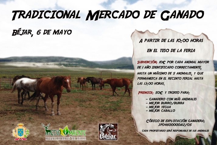 Béjar prepara la Tradicional Feria de Ganado | Imagen 1
