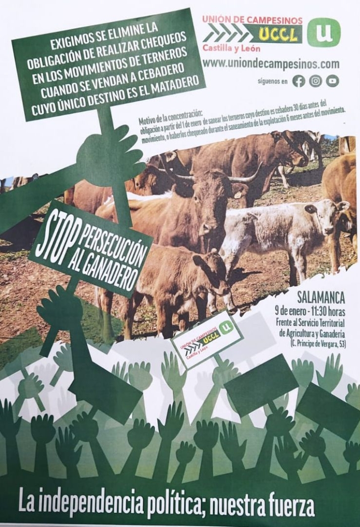 Preparan una movilizaci&oacute;n en Salamanca contra los nuevos requisitos para vender terneros | Imagen 1