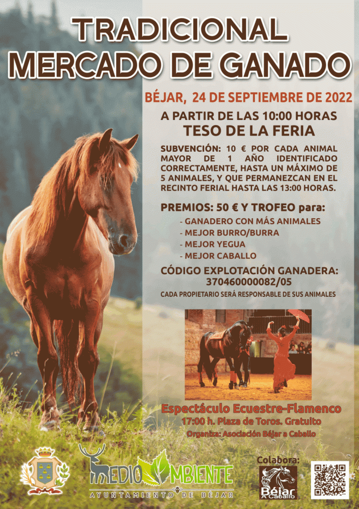 El Mercado de Ganado, pistoletazo de salida a las Ferias de B&eacute;jar | Imagen 1