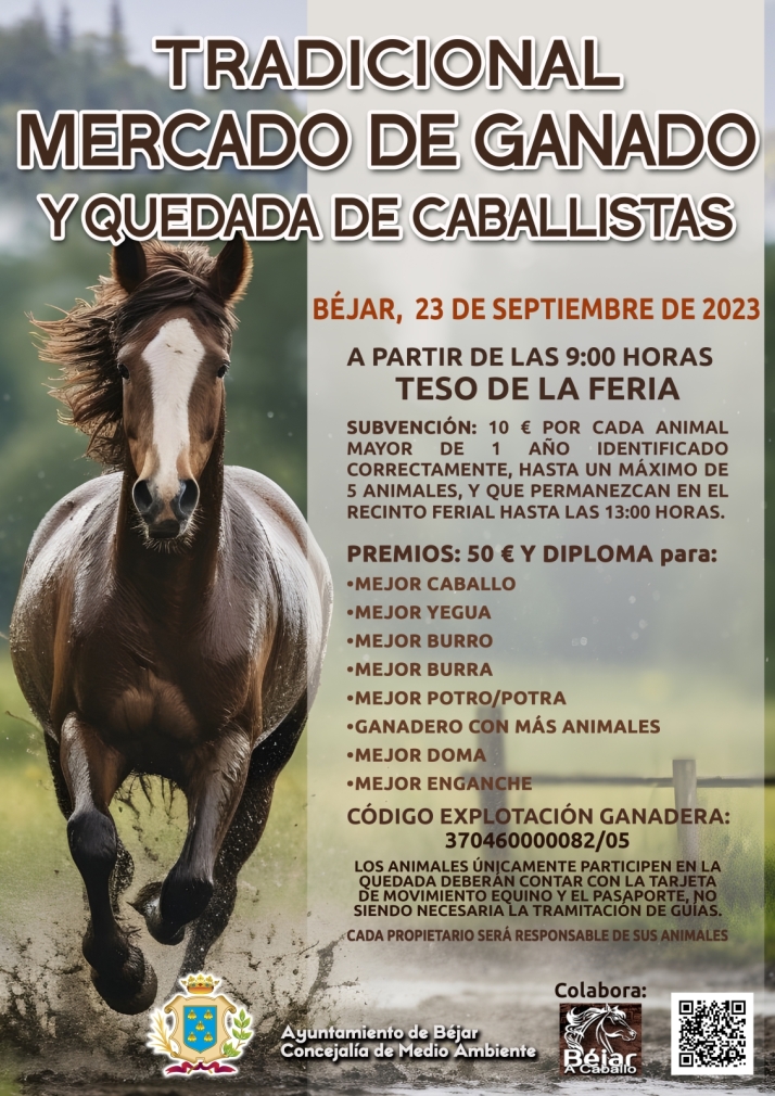 B&eacute;jar celebra el mercado de ganado por San Miguel | Imagen 1