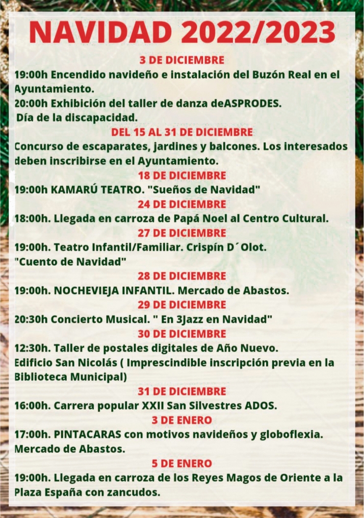 Aceptable asistencia de puestos en el Mercadillo Navide&ntilde;o de Vitigudino | Imagen 1