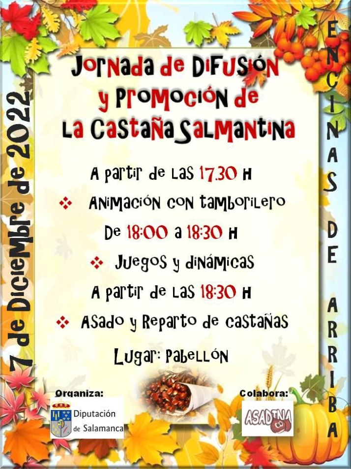 Encinas de Arriba anuncia una fiesta de la casta&ntilde;ada y un mercado navide&ntilde;o | Imagen 1