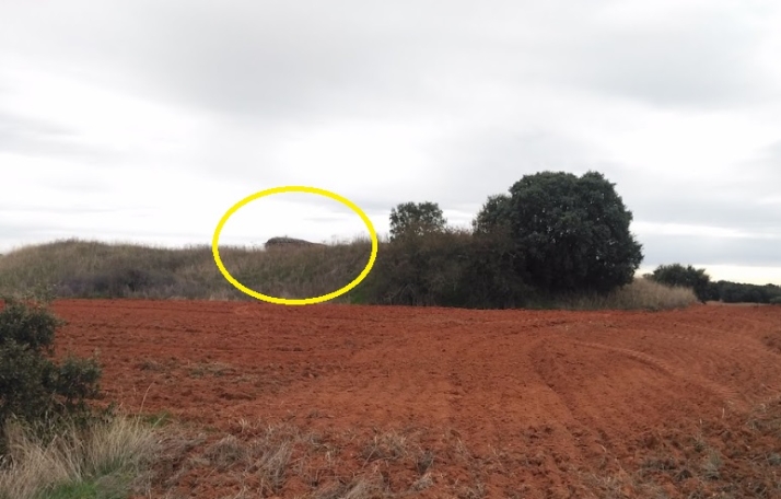 Lagunas Rubias, un castillo de defensa de la frontera en Aldeanueva de Figueroa | Imagen 2