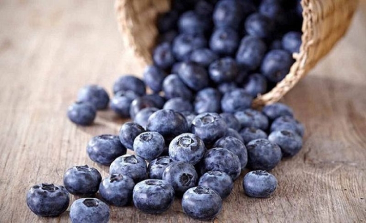 Proyecto Eco Regiones en Portugal, la fertilidad rural del siglo XXI | Imagen 1