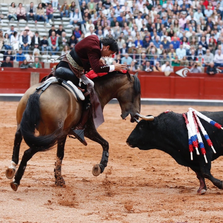 Diego Ventura: “Salamanca ha criado los toros de mis mayores triunfos y soy admirador de grandiosos toreros charros” | Imagen 1