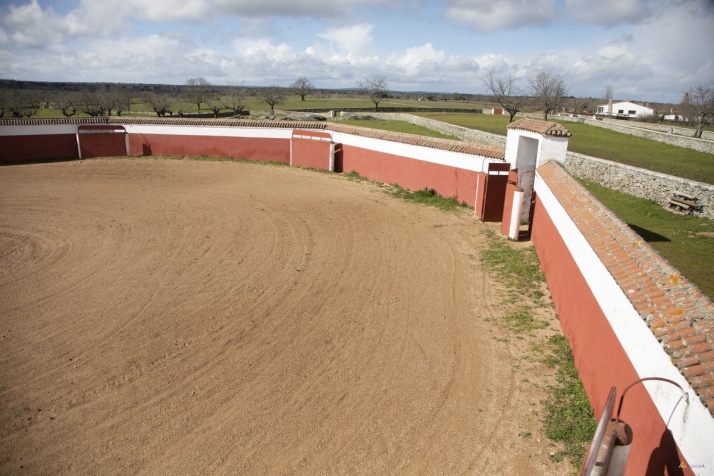 La huella de Domingo Hern&aacute;ndez a&uacute;n perdura en Tragunt&iacute;a | Imagen 5