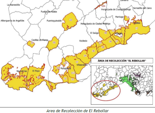 El oto&ntilde;o despierta la afici&oacute;n por las setas en los montes de El Rebollar | Imagen 1
