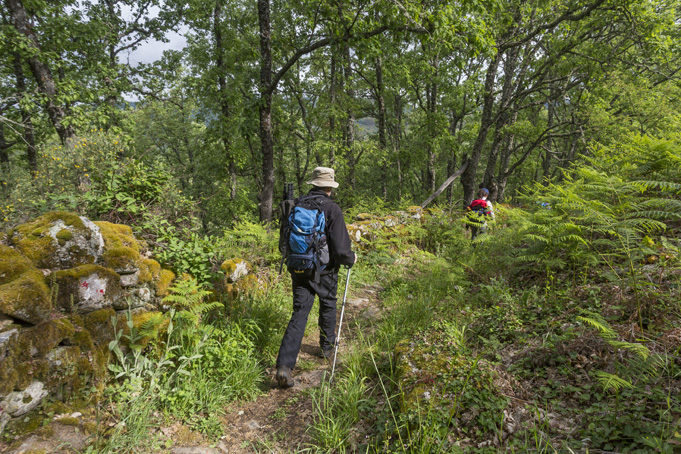 Tres rutas de senderismo en la Sierra de Francia para redescubrir el arte y la naturaleza | Imagen 2