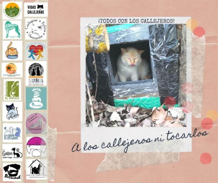 Denuncian el incendio intencionado de las casetas de una colonia de gatos junto al r&iacute;o Tormes | Imagen 1