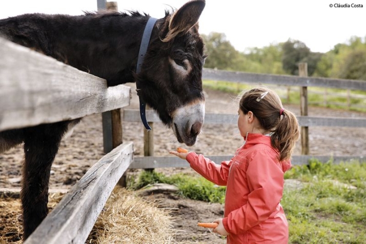 &lsquo;11 Burros, 11 Destinos&rsquo;: los m&aacute;s entra&ntilde;ables gu&iacute;as tur&iacute;sticos de la frontera | Imagen 1