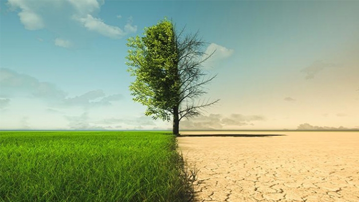 "La electrificación, en el centro de un modelo energético más competitivo, seguro, sostenible y resiliente" | Imagen 1