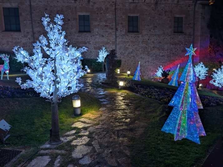 10 escenarios imprescindibles para conseguir el 'selfie' navide&ntilde;o perfecto en Salamanca | Imagen 7