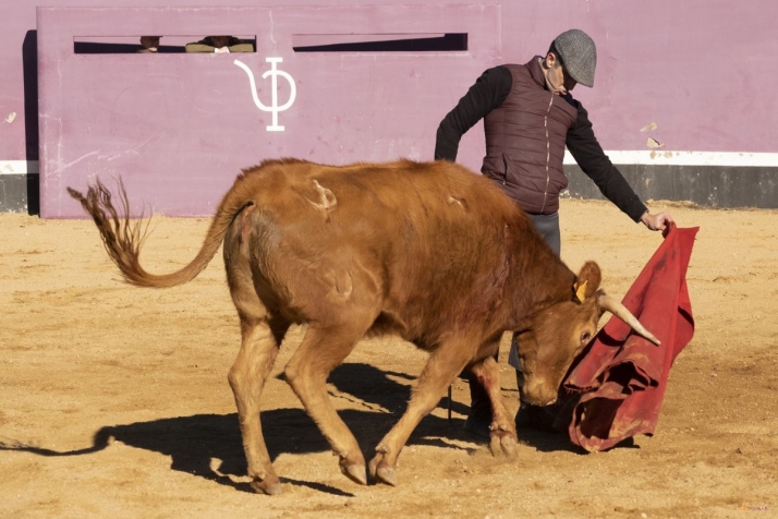 Javier Casta&ntilde;o, ante su adi&oacute;s: "Jam&aacute;s imagin&eacute; conseguir tantas cosas en mi carrera" | Imagen 2