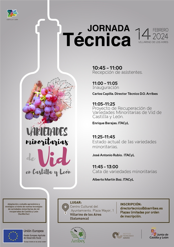 Bodegueros, viticultores y comercializadores de vino analizan en Villarino variedades minoritarias de vid en Arribes | Imagen 1