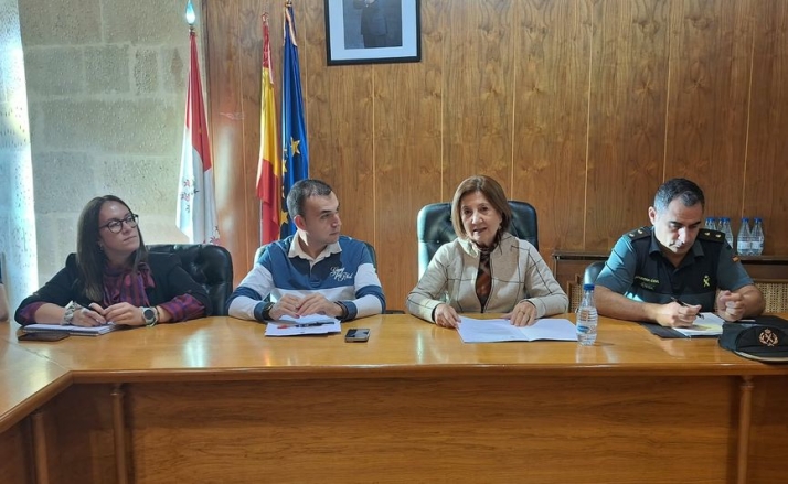 Controles de drogas y alcohol, vigilancia y un Punto Violeta para blindar las fiestas de Santa Teresa | Imagen 1