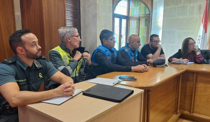 Controles de drogas y alcohol, vigilancia y un Punto Violeta para blindar las fiestas de Santa Teresa | Imagen 2