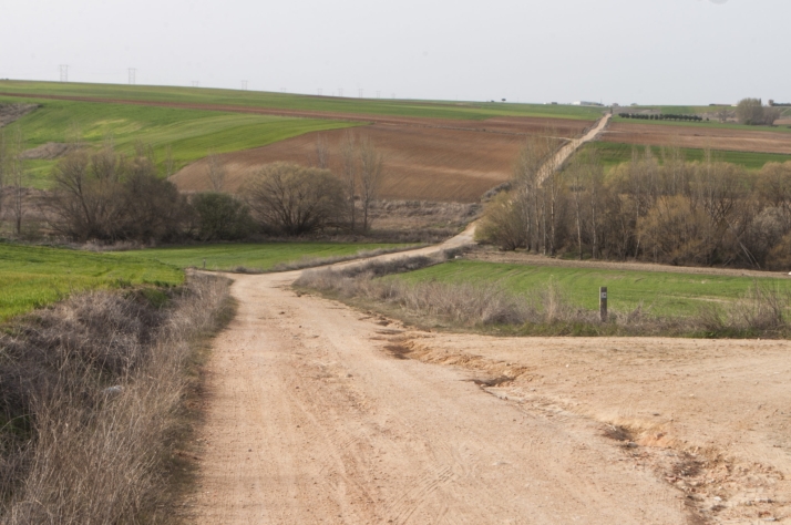 Villamayor: 60 kil&oacute;metros de senderos por descubrir en el coraz&oacute;n de La Armu&ntilde;a a minutos de Salamanca | Imagen 5