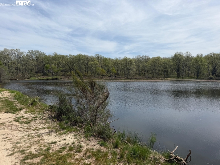 FOTOS | El tesoro oculto del siglo XVIII que resiste entre los robles de la sierra de La Alberca | Imagen 2