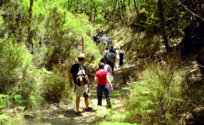 Las cinco rutas arqueol&oacute;gicas que te van a enamorar de la provincia salmantina | Imagen 1