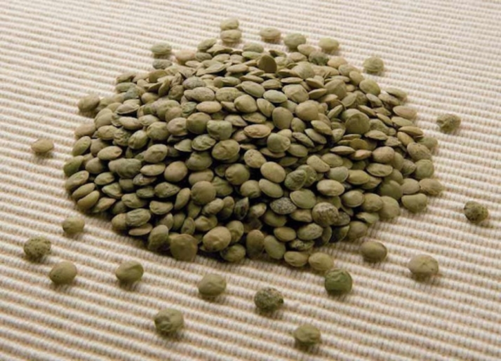 Salamanca, una despensa modelada por la historia y el territorio | Imagen 6