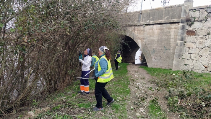 El Ayuntamiento de Alba inicia el desbroce de la ribera para mejorar la seguridad junto al puente medieval | Imagen 1