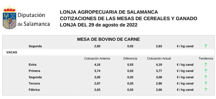 Subida generalizada del cereal, carne de vacuno, ovino y porcino | Imagen 6