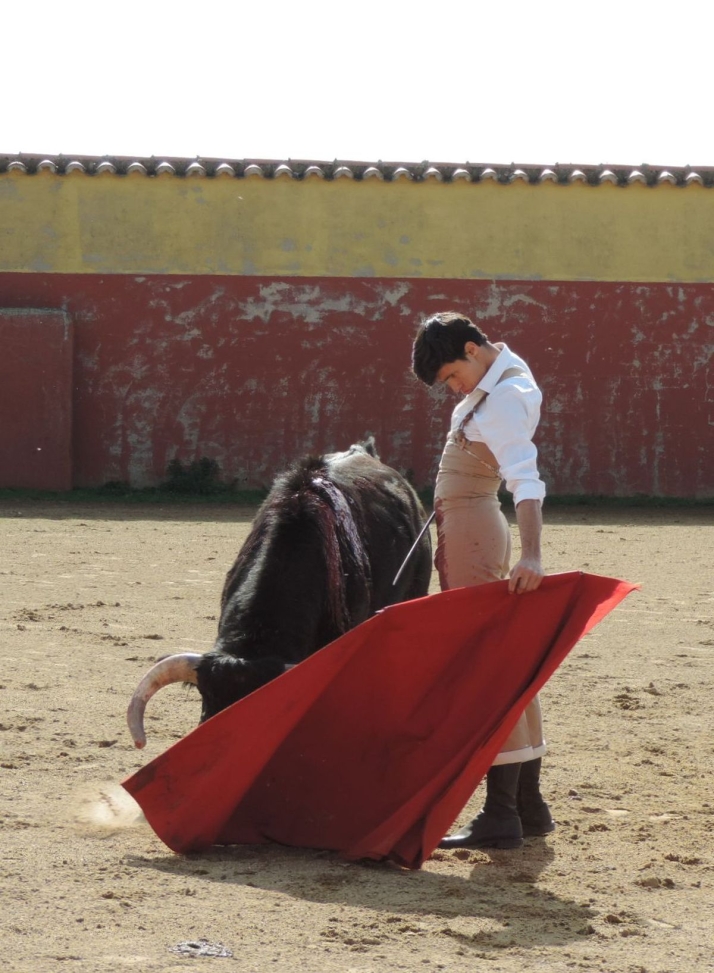 Diosleguarde, a punto para 2025: "Quiero que se vea un torero nuevo y que ha evolucionado" | Imagen 2