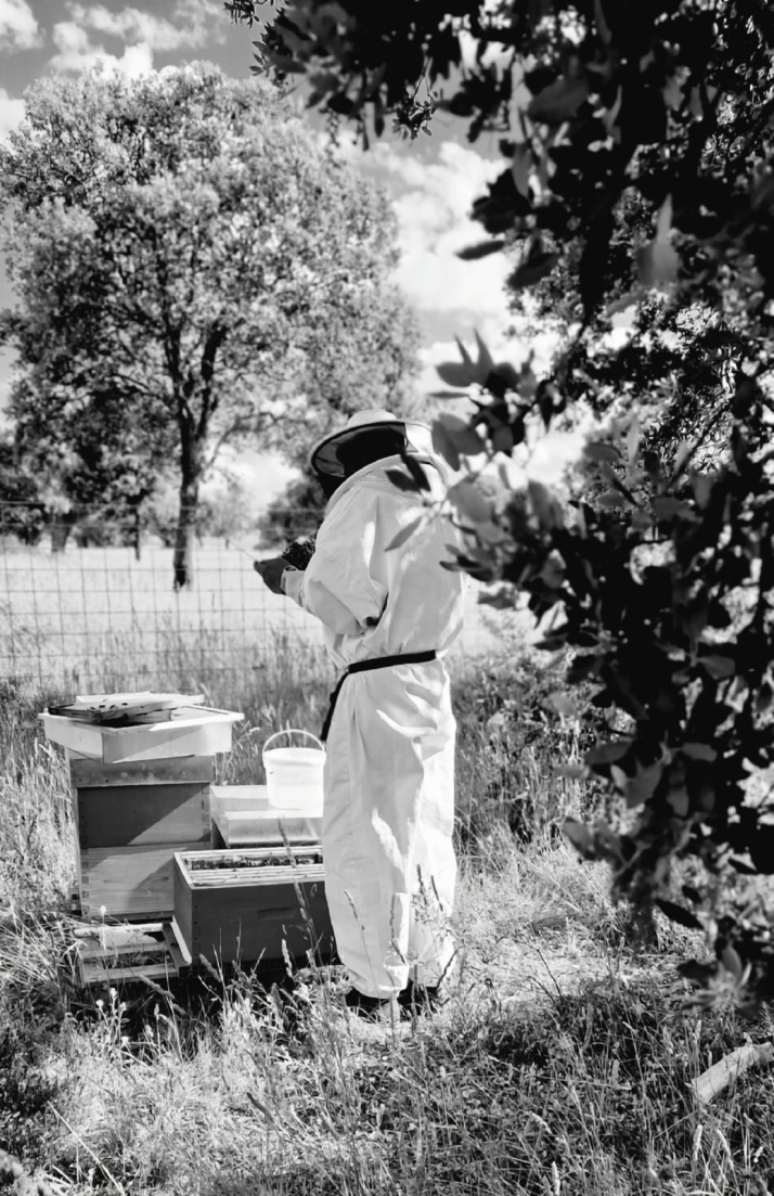 La historia de un joven apicultor salmantino que cambi&oacute; el bullicio hostelero por el susurro de las abejas en la Sierra de Francia | Imagen 2