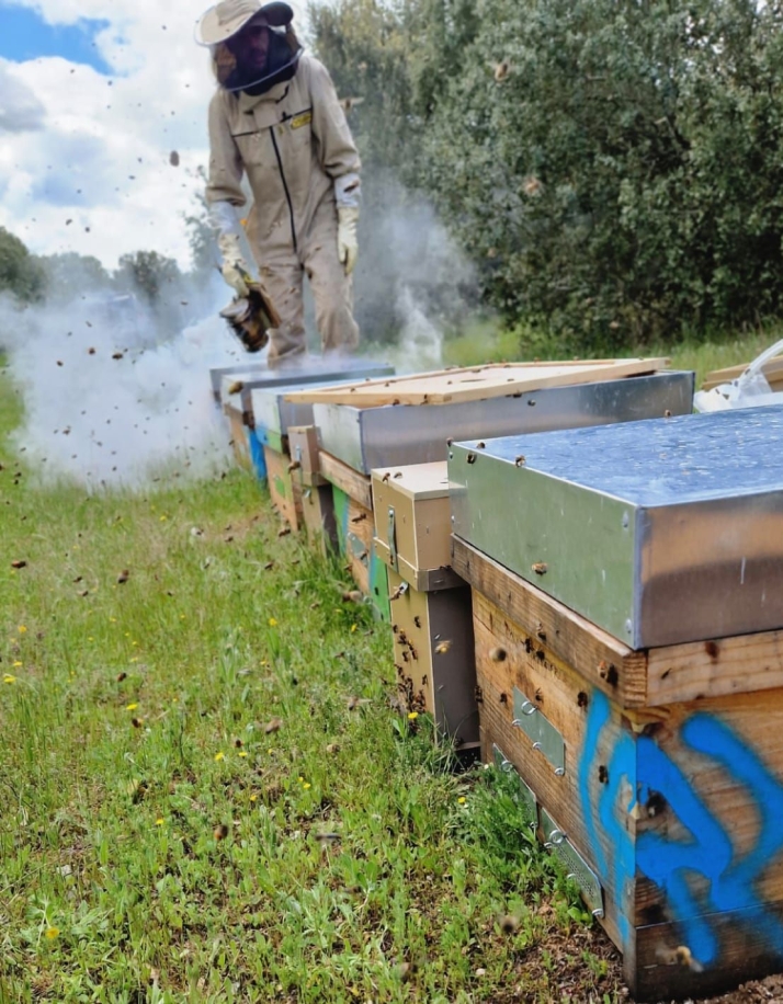 La historia de un joven apicultor salmantino que cambi&oacute; el bullicio hostelero por el susurro de las abejas en la Sierra de Francia | Imagen 1