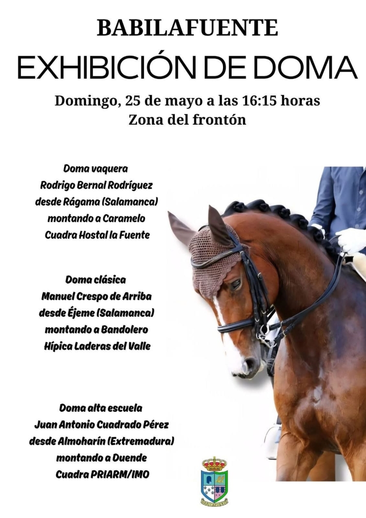 Pasarela flamenca, doma de caballos y actuaciones, entre la decena de actos protagonistas de la II Feria Rociera de Babilafuente | Imagen 2
