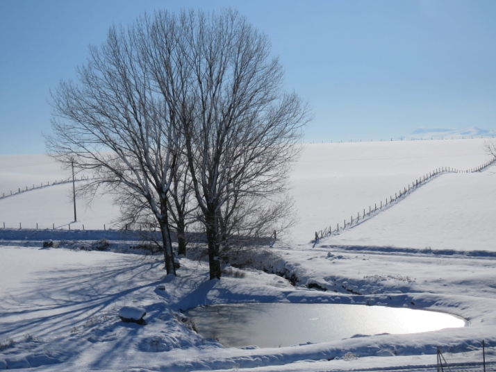 Macotera muestra sus mejores im&aacute;genes en los ganadores del I Concurso de Fotograf&iacute;a de la asociaci&oacute;n Me Permito y la Cooperativa San Isidro | Imagen 1